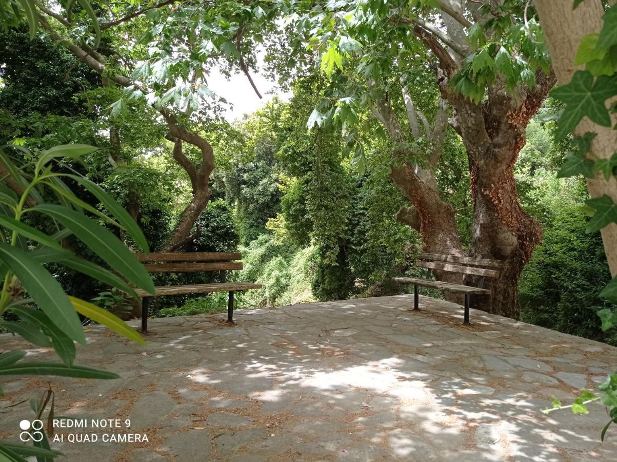 Marina Traditional Stonehouse Afétai المظهر الخارجي الصورة